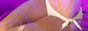 �o�C�u/�A�_���g�O�b�c�ʔ̓X�@���`�A�i title=